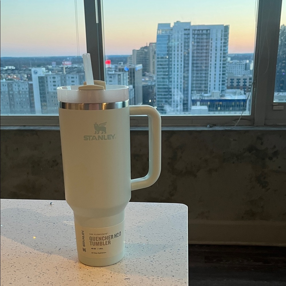 BNWOB Stanley Quencher H2.0 FlowState Tumbler 40 oz - Mist / Mint Green